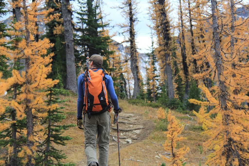 Manning Park Resort Bagian luar foto