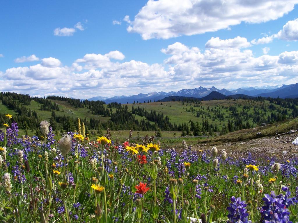 Manning Park Resort Bagian luar foto